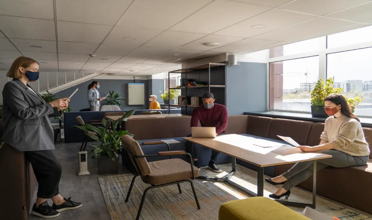 Contemporary office design supporting clarity and efficiency in office