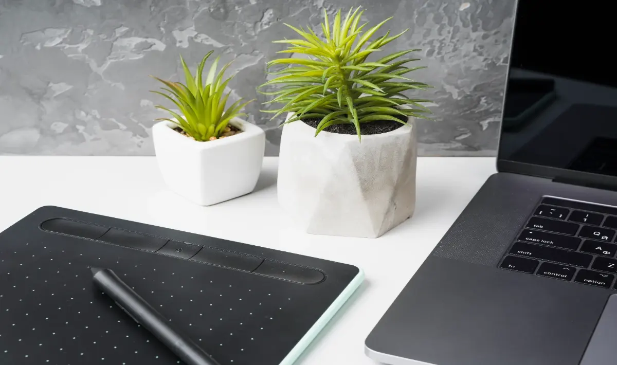 Lucky Plants for Office Desk to Bring Calm, Focus and Positive Energy
